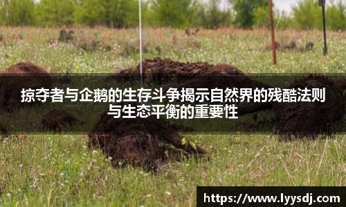 jbo竞博电竞官方网站