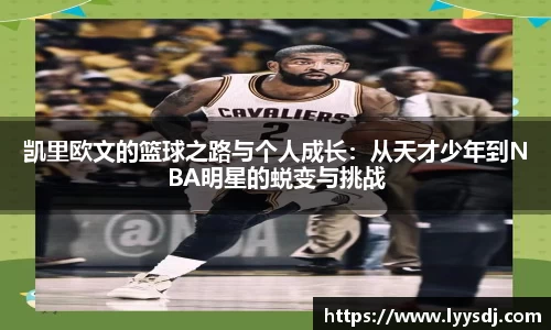 jbo竞博电竞官方网站